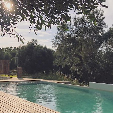 Agriturismo Casette Del Forno Montalto di Castro Zewnętrze zdjęcie