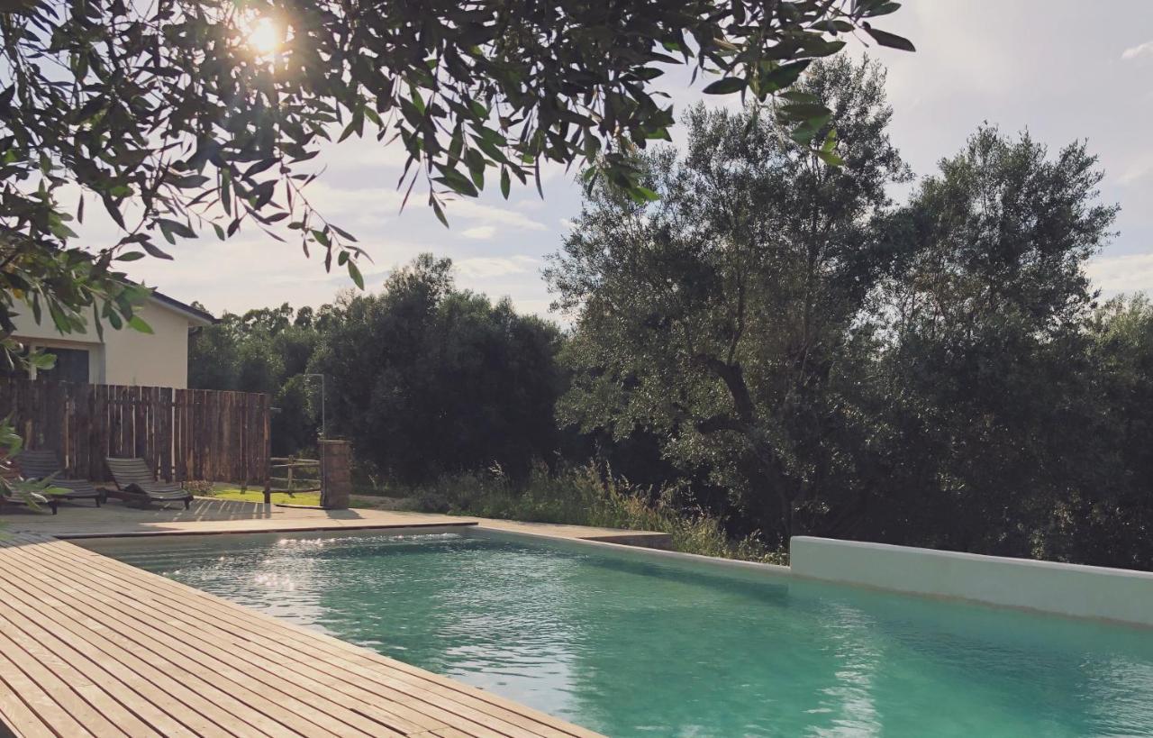 Agriturismo Casette Del Forno Montalto di Castro Zewnętrze zdjęcie